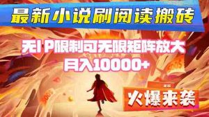 (16237期)小说阅读搬砖单机每天收益200-400+ 无IP限制可无限矩阵放大 —-湘创网