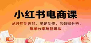 小红书电商课:从开店到选品、笔记创作,含数据分析,爆单分享与新玩法-湘创网