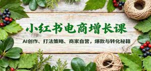 小红书电商增长课：AI创作、打法策略、商家自营，爆款与转化秘籍-湘创网