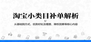 淘宝小类目补单解析:从基础到方式,优势好处及稽查、降权因素等核心内容-湘创网
