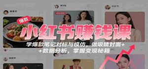 小红书赚钱课：学爆款笔记对标与模仿，做吸睛封面 + 数据分析，掌握变现秘籍-湘创网