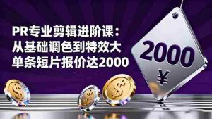 (16381期)PR专业剪辑进阶课:从基础调色到特效大片的进阶技能,单条短片报价达2000-湘创网