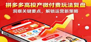 拼多多高投产微付费玩法复盘，洞察关键要点，解锁运营新策略-湘创网