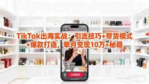 (16358期)「TikTok出海实战」引流技巧+带货模式+爆款打造,单月变现10万+秘籍-湘创网