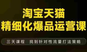 淘宝天猫精细化爆品运营(9月12-14杭州线下课),全方位拆解爆品打造逻辑【音频+字幕+文档】-湘创网