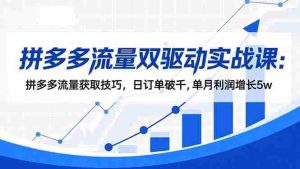 (16563期)拼多多流量双驱动实战课:拼多多流量获取技巧,日订单破千,单月利润增长5w-湘创网