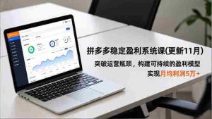 (16641期)拼多多稳定盈利系统课(更新11月),突破运营瓶颈,构建可持续的盈利模型,实现月均利润5万+-湘创网