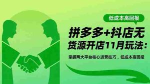 （16546期）拼多多+抖店无货源开店11月玩法：掌握两大平台核心运营技巧，低成本高回报-湘创网