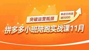 (16654期)拼多多小班陪跑实战课11月,强付费矩阵、原价活动、暗券引流,突破运营瓶颈,单店日利润破5000-湘创网
