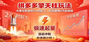 拼多多擎天柱玩法，水果生鲜最快2小时起飞，标品最慢2天起链接-湘创网