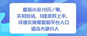 番茄小说10米每单，实拍玩法，0成本好上手，详细实操教程和平台入口适合大部分人-湘创网