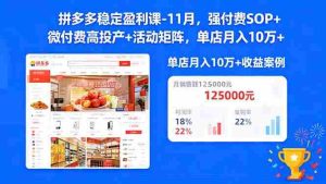 （16557期）拼多多稳定盈利课-11月，强付费SOP+微付费高投产+活动矩阵，单店月入10w+-湘创网