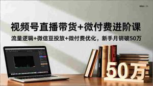 （16684期）视频号直播带货+微付费进阶课：流量逻辑+微信豆投放+微付费优化，新手月销破50万-湘创网