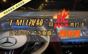 EMO自热流创业粉打法,三天起千粉号,单视频十万播放量,多账号矩阵日引精准引流500+-湘创网