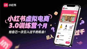 (16512期)小红书虚拟电商3.0训练营:2025最后1个月,给自己一次日入过千的机会!-湘创网