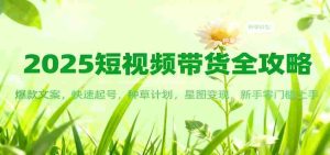 2025短视频带货全攻略：爆款文案，快速起号，种草计划，星图变现，新手零门槛上手-湘创网