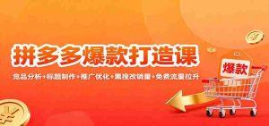 拼多多爆款打造课：竞品分析+标题制作+推广优化+黑搜改销量+免费流量拉升-湘创网