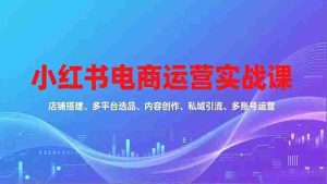 (16695期)小红书电商运营实战课,店铺搭建、多平台选品、内容创作、私域引流、多账号运营等玩法-湘创网