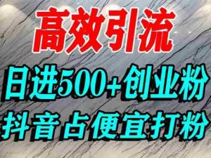怎么打创业粉?抖音利用占便宜心理引流创业粉,单人日引500+精准流量-湘创网