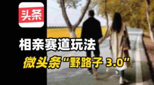 微头条“野路子3.0”相亲赛道玩法，搬砖式操作单号稳定3张-湘创网