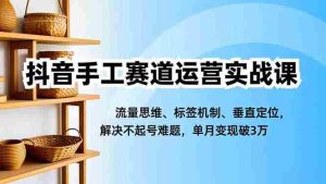 (16667期)抖音手工赛道运营实战课,流量思维、标签机制、垂直定位,解决不起号难题,单月变现破3万-湘创网