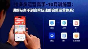 (16448期)拼多多运营高手-10月训练营:讲解从新手到高阶玩法的完整运营体系!-湘创网