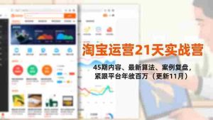 （16701期）淘宝运营21天实战营，45期内容、最新算法、案例复盘，紧跟平台年入百万（更新11月）-湘创网