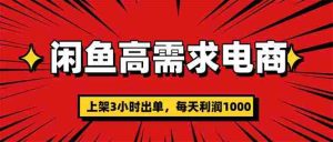 （16672期）闲鱼高利润电商，当天上架当天出单，一单利润300-湘创网