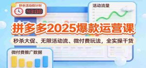 拼多多2025爆款运营课:秒杀大促、无限活动流、微付费玩法,全实操干货-湘创网