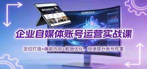 企业自媒体账号运营实战课：定位打造+ 爆款内容+数据优化，快速提升账号权重-湘创网