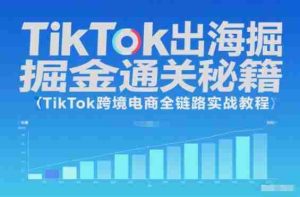 TikTok出海掘金通关秘籍，TikTok跨境电商全链路实战教程-湘创网