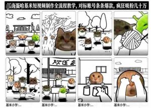 卤蛋哈基米短视频制作全流程教学，条条爆款，疯狂吸粉几十万-湘创网