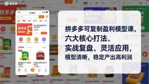 （16952期）拼多多可复制盈利模型课，六大核心打法、实战复盘、灵活应用，模型清晰，稳定产出高利润-湘创网