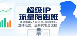 超级IP流量陪跑班：账号搭建+人设定位+爆款创作+直播运营，涨粉变现全流程-湘创网