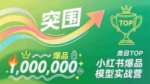 （16922期）小红书爆品模型实战营，从新品突围到成为类目TOP，可复制路径，打造多个营收百万级爆品-湘创网