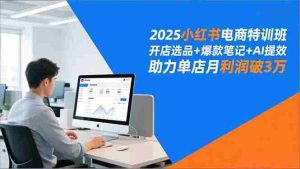 （16902期）2025小红书电商特训班，开店选品+爆款笔记+AI提效，助力单店月利润破3万-湘创网