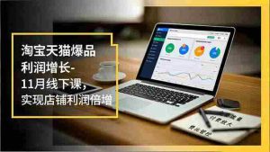 （16824期）淘宝天猫爆品利润增长-11月线下课，免费流量、付费放大、费比管控，实现店铺利润倍增-湘创网