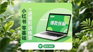 (16801期)小红书零基础+高阶训练营:安全养号、爆款拆解、长效运营,实现稳定涨粉与变现-湘创网