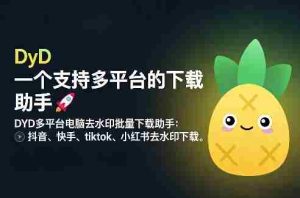 DYD多平台电脑去水印批量下载助手：抖音、快手、tiktok、小红书去水印下载-湘创网