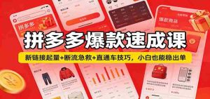 拼多多爆款速成课：新链接起量+断流急救+直通车技巧，小白也能稳出单-湘创网