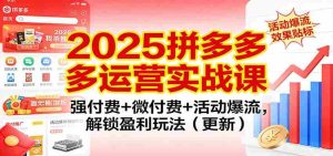 2025拼多多运营实战课：强付费+微付费+活动爆流，解锁盈利玩法（更新）-湘创网