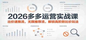 2026多多运营实战课:出价速推流,无限推荐流,解锁高阶防比价玩法(更新)-湘创网
