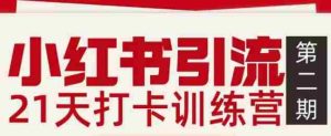 小红书引流21天打卡训练营第二期，助你快速打通小红书私域引流打粉-湘创网