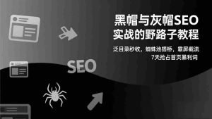 （17125期）黑帽与灰帽SEO实战的野路子教程：泛目录秒收，蜘蛛池搭桥，霸屏截流，7天抢占首页暴利词-湘创网
