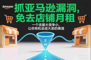 抓亚马逊漏洞，免去店铺月租，一个流量大竞争小，让你有机会成大卖的赛道-湘创网