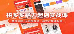 拼多多暴力起店实战课：黄金测款+无限推荐流，高投产快速起量-湘创网