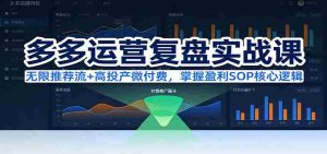 多多运营复盘实战课：无限推荐流+高投产微付费，掌握盈利SOP核心逻辑（更新）-湘创网