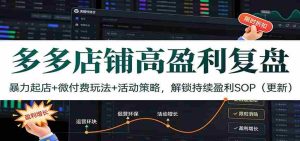 多多店铺高盈利复盘：暴力起店+微付费玩法+活动策略，解锁持续盈利SOP（更新）-湘创网