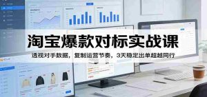 淘宝爆款对标实战课：透视对手数据，复制运营节奏，3天稳定出单超越同行-湘创网