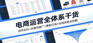 电商运营全体系干货，竞争定价+关键词推广+爆款打造+全域战略全拆解-湘创网